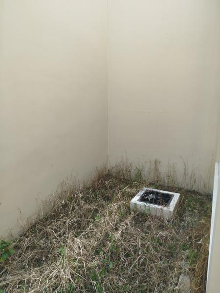 Rumah Disewakan di Cluster Djava Residence Jababeka Cikarang